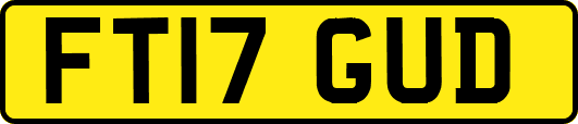FT17GUD