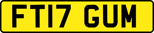 FT17GUM