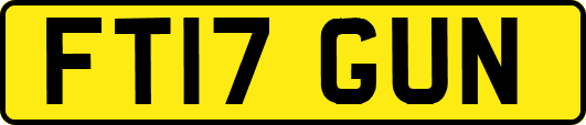 FT17GUN