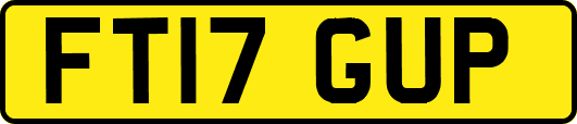 FT17GUP