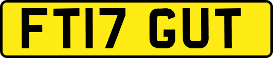 FT17GUT