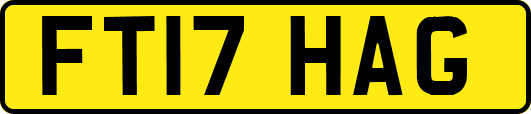 FT17HAG