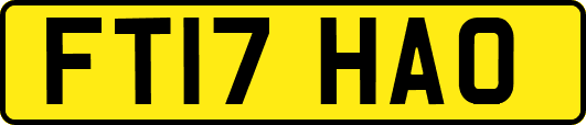FT17HAO