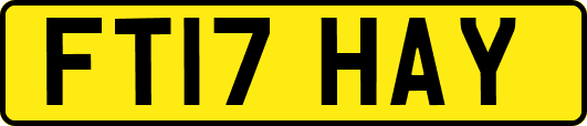 FT17HAY