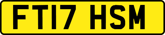 FT17HSM