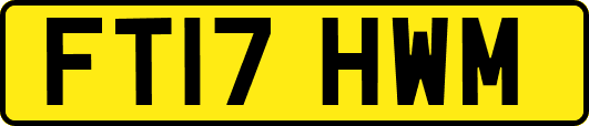 FT17HWM