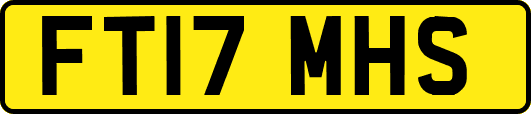 FT17MHS