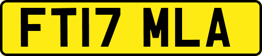 FT17MLA
