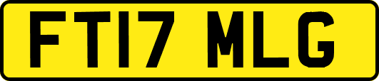 FT17MLG