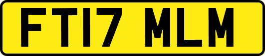 FT17MLM