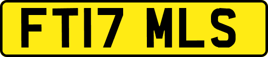 FT17MLS
