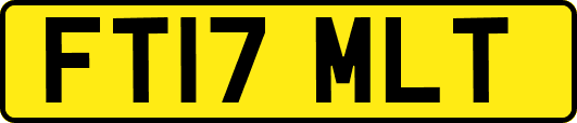 FT17MLT