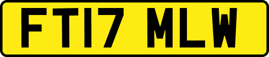 FT17MLW