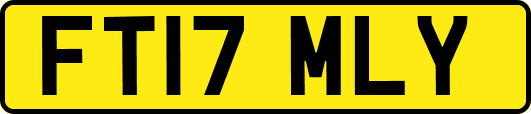 FT17MLY