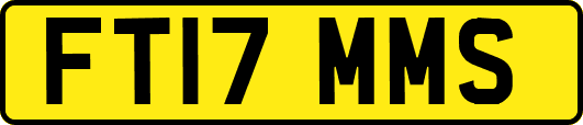 FT17MMS