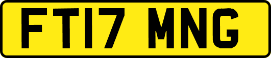FT17MNG