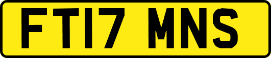 FT17MNS