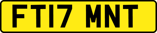 FT17MNT