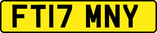 FT17MNY