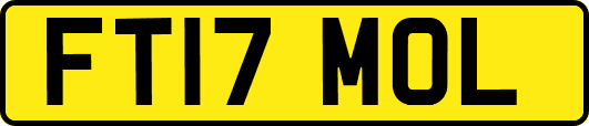 FT17MOL