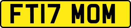 FT17MOM