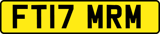 FT17MRM