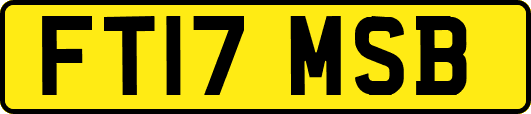 FT17MSB