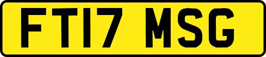 FT17MSG