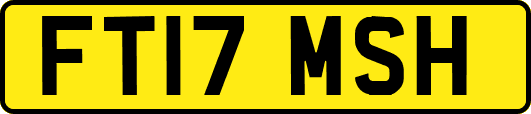 FT17MSH