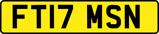 FT17MSN