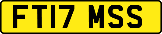 FT17MSS