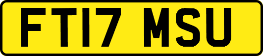 FT17MSU