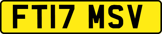 FT17MSV