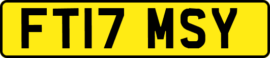 FT17MSY