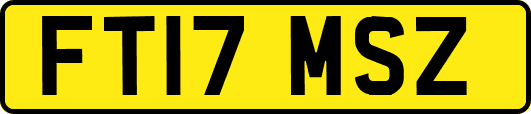 FT17MSZ