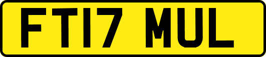FT17MUL
