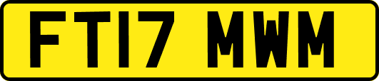 FT17MWM