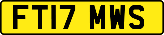FT17MWS
