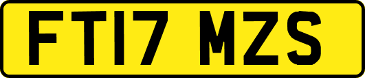 FT17MZS
