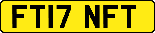 FT17NFT