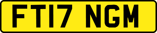 FT17NGM