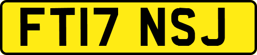 FT17NSJ