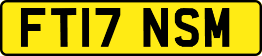 FT17NSM