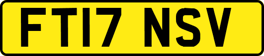FT17NSV