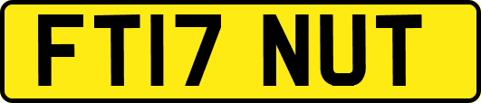 FT17NUT