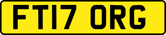 FT17ORG