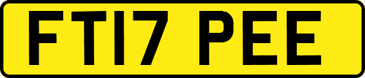FT17PEE