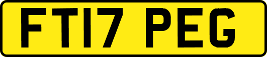 FT17PEG
