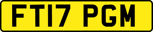 FT17PGM