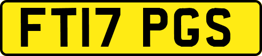 FT17PGS